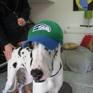 Meet your Posher, Bryan